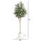 6ft. Artificial Olive Tree with White Decorative Planter